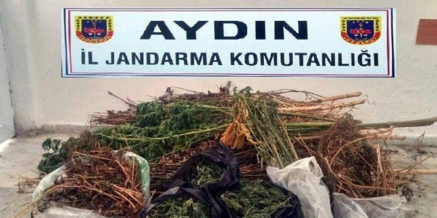 Baba ve oğlunun evlerinden 9 kilo esrar çıktı