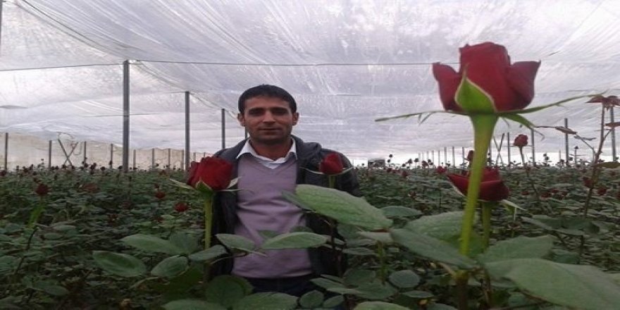 Bingöl’de fidan üretimi pazar arıyor