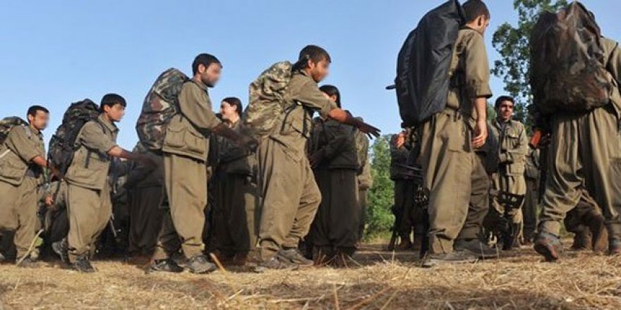PYD/PKK'nın 'SDG' maskesi düştü