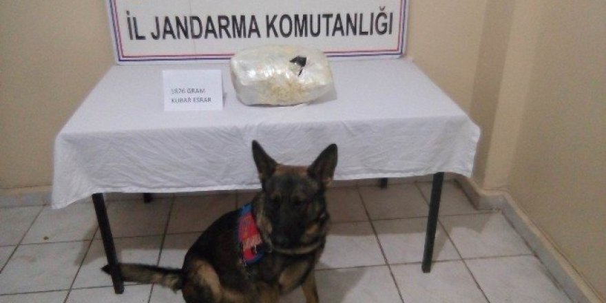 Çanta içerisinde esrar ele geçirildi