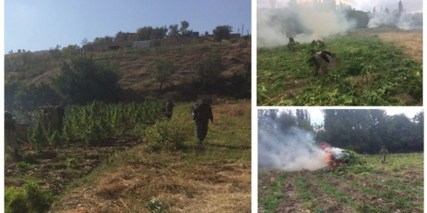 PKK'ya 100 milyonluk darbe