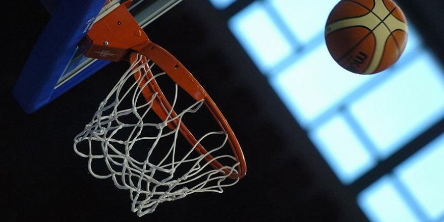 Mo Williams basketbolu bıraktı