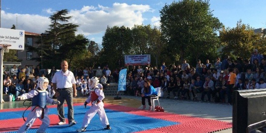 Demokrasi şehitleri adına taekwondo turnuvası düzenlendi