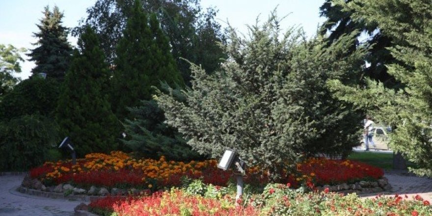 Melikgazi yine çiçek açacak