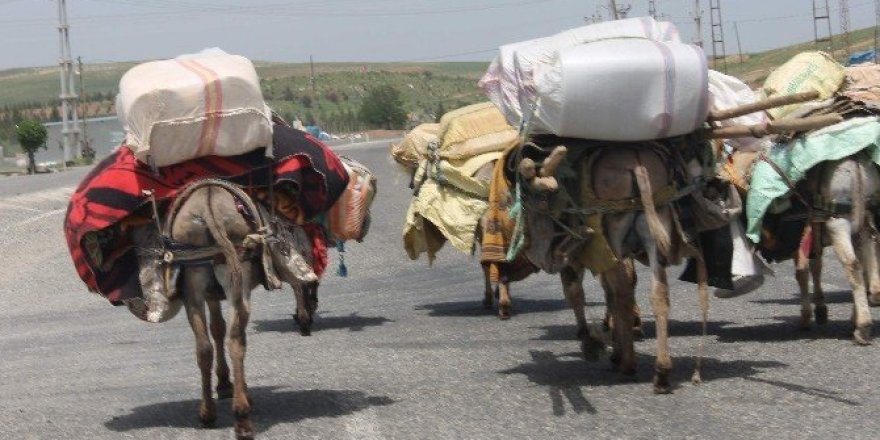 Göçebelerin zorlu geri dönüşleri başladı