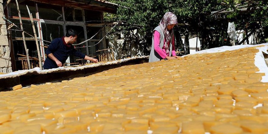 'Anadolu jelibonu'nun meşakkatli yolculuğu