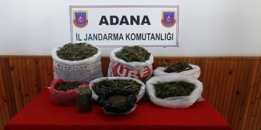 Adana’da uyuşturucu operasyonu