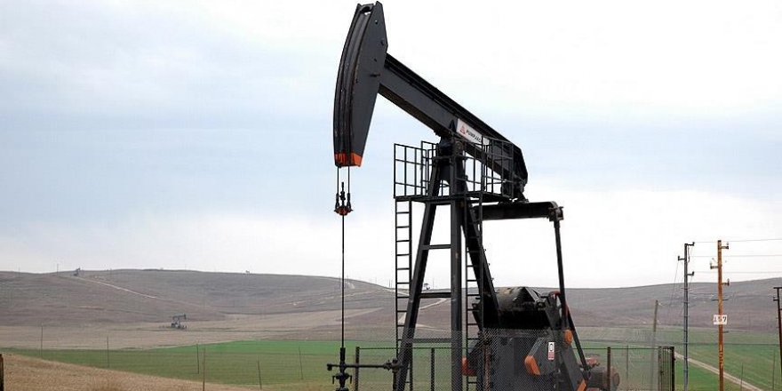 Petrol fiyatları 50 doların üzerinde dengelendi