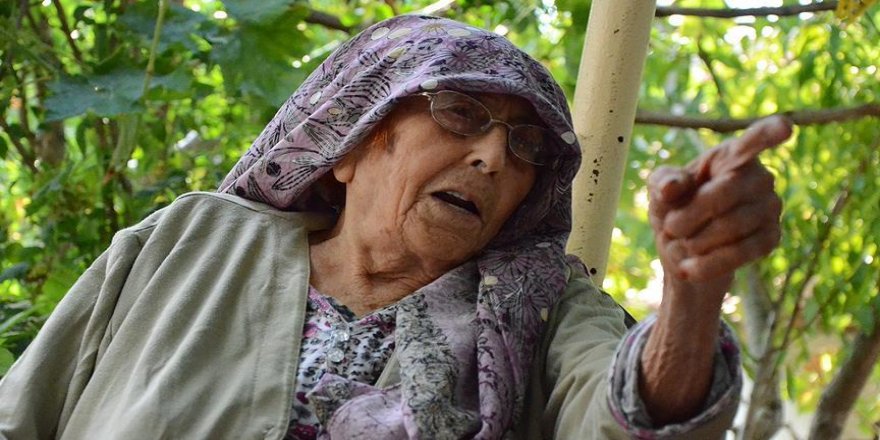 Aydın'ın asırlık çınarı Ayşe nine