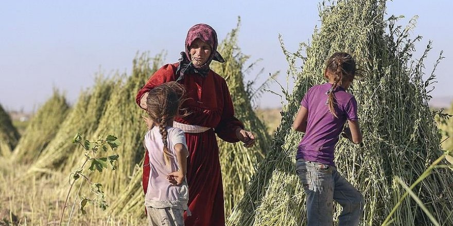 Cerabluslular: 'Türkiye'nin geleceğini duyunca...'