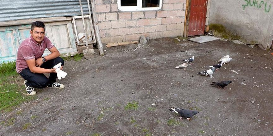 Tedavi ettiği güvercin, tutkusu haline dönüştü