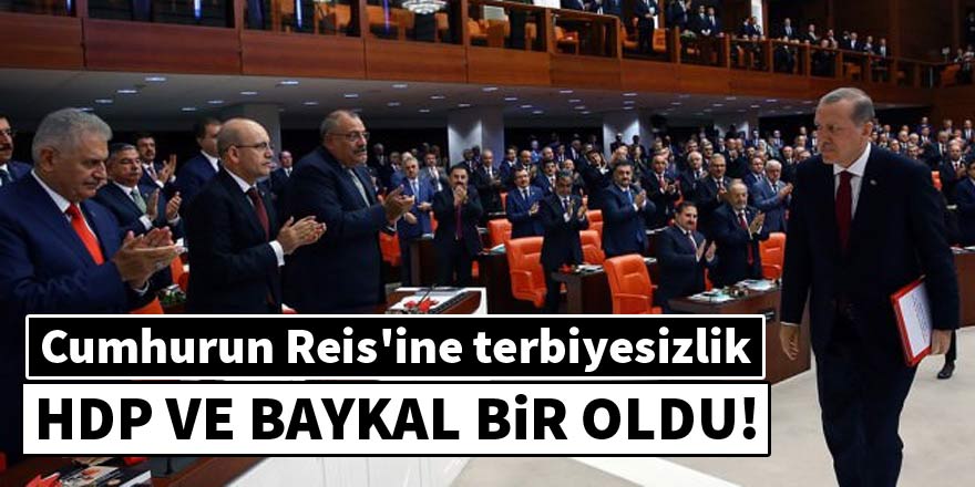 Meclis'te Cumhurbaşkanı Erdoğan'a saygısızlık