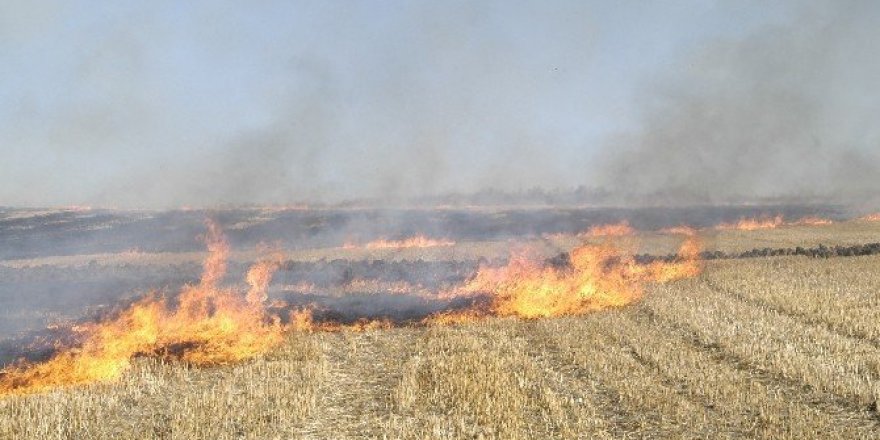 300 dönüm anız alev alev yandı
