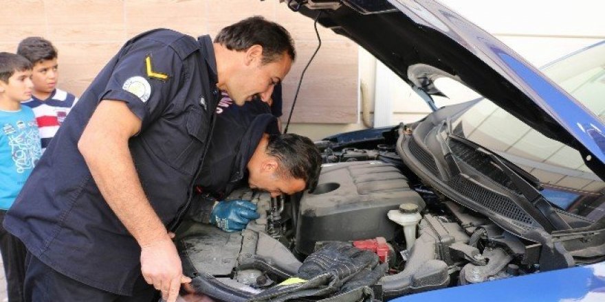 Yavru kedi, sığınak olarak araba motorlarını seçti