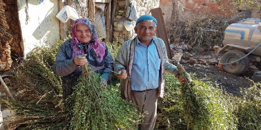Teknolojiye yenilmeyen süpürge