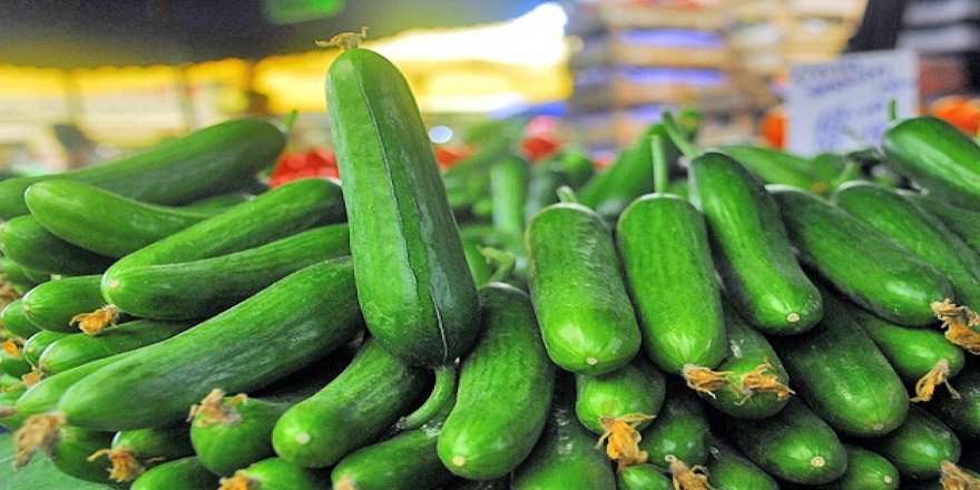 Konya'da zam şampiyonu salatalık