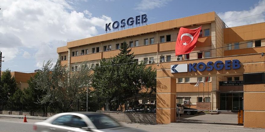 KOSGEB'deki FETÖ operasyonu: 20 tutuklama