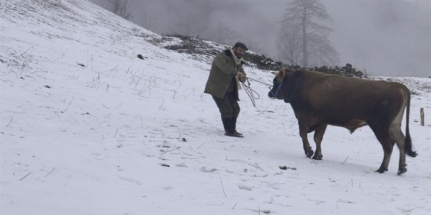 Hırsızlar 'Kalandar Soğuğu'nu çalacaktı