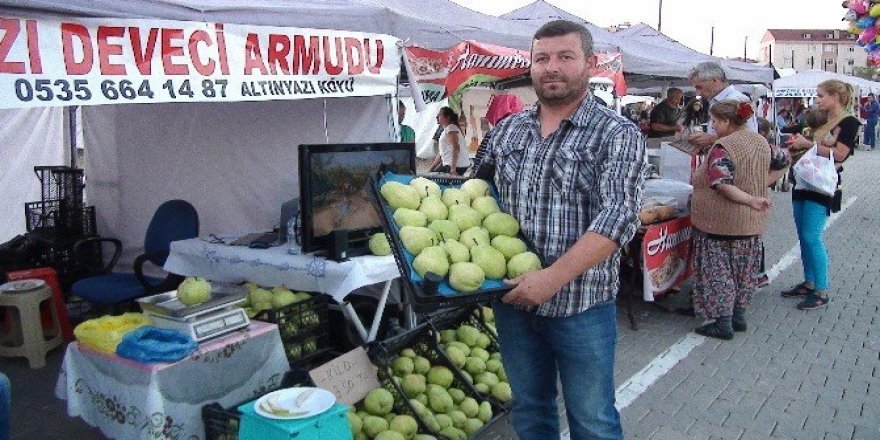Edirne’nin dev armutları görenleri şaşırtıyor