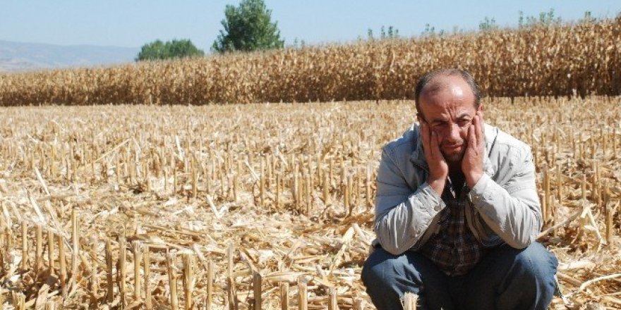 Tokat’ta görülmemiş hırsızlık