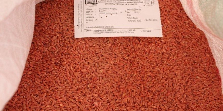 Adıyaman’dan sertifikalı tohum ihracatı
