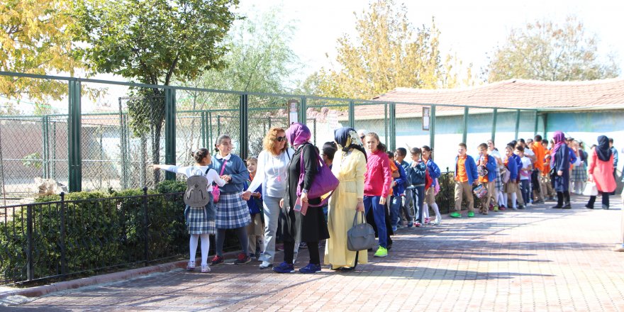 Dünya Hayvanları Koruma Günü Hayvanat Bahçesinde kutlandı