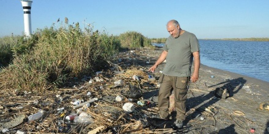 Tarsus sahilindeki balık ölümleri araştırılıyor