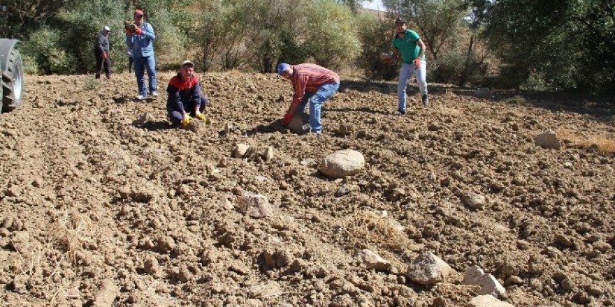 Yozgat çiftçisi taş toplama makinesi istiyor