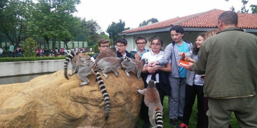 Ücretsiz olunca Zoopark’a akın ettiler