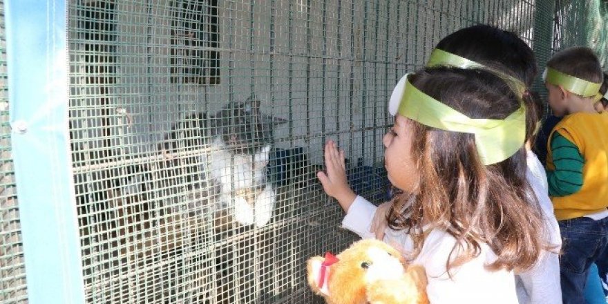 Çocuklardan sevimli dostlarına ziyaret