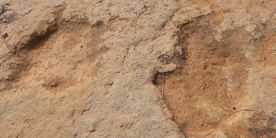 Gobi Çölü'nde titanozora ait ayak izi keşfedildi