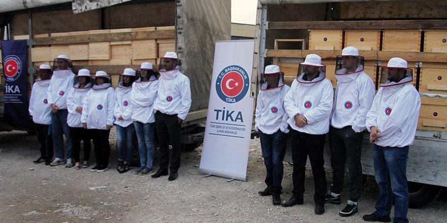 TİKA Sırbistan'da arıcılığı geliştiriyor