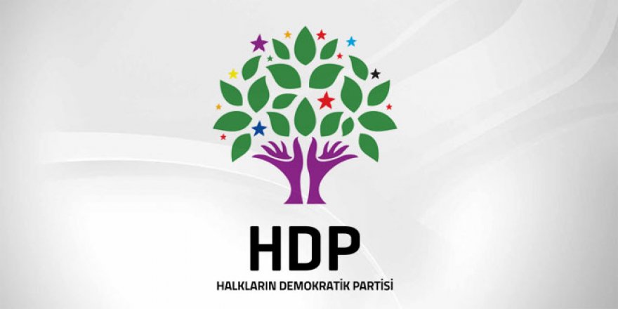 HDP Şanlıurfa İl Eş Başkanı Sürücü gözaltına alındı