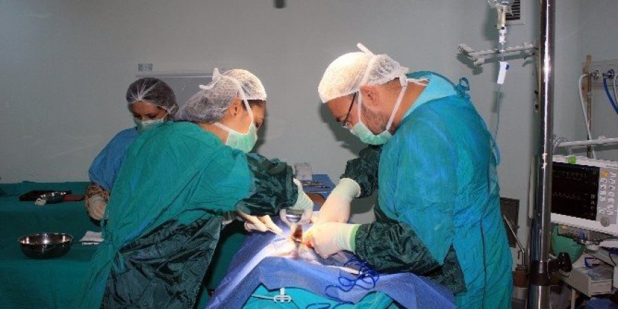 Aksaray’da kafatası karnına dikilen genç hayata tutundu