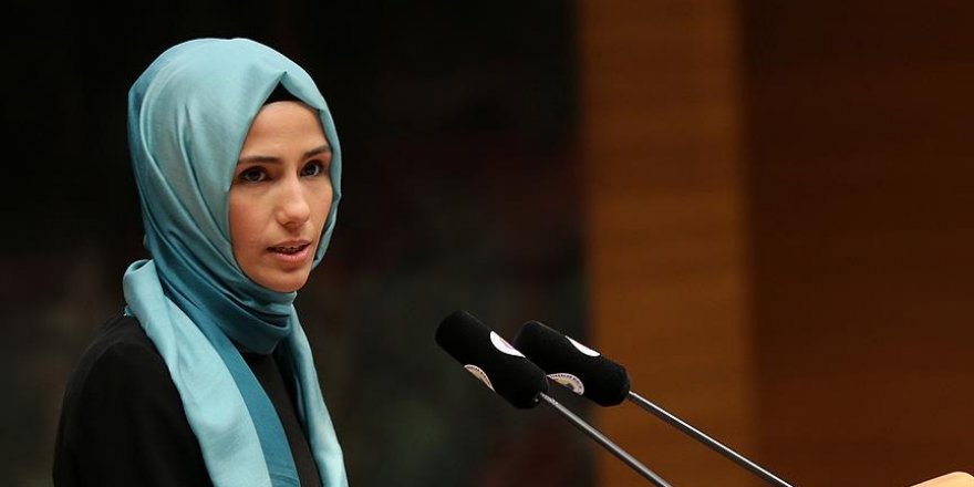 'Korumaların silahlarının çalınmasının terör boyutu yok'