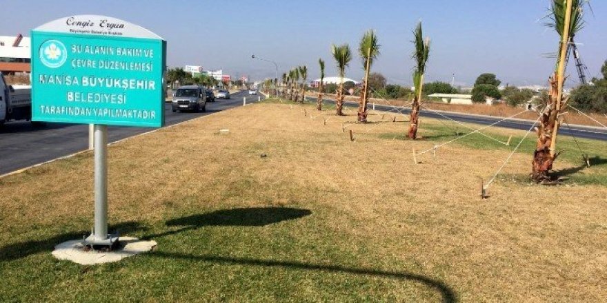 Bilinçsizce atılan kostik yeşil dokuyu kuruttu