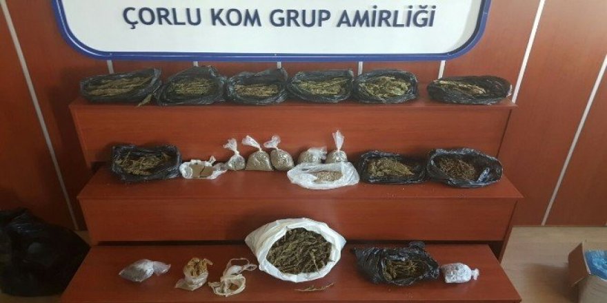 Çorlu KOM’dan zehir tacirlerine darbe