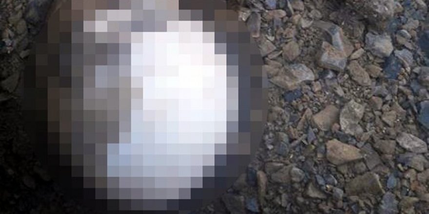 Taş ocağı arazisinde elleri bağlı erkek cesedi bulundu