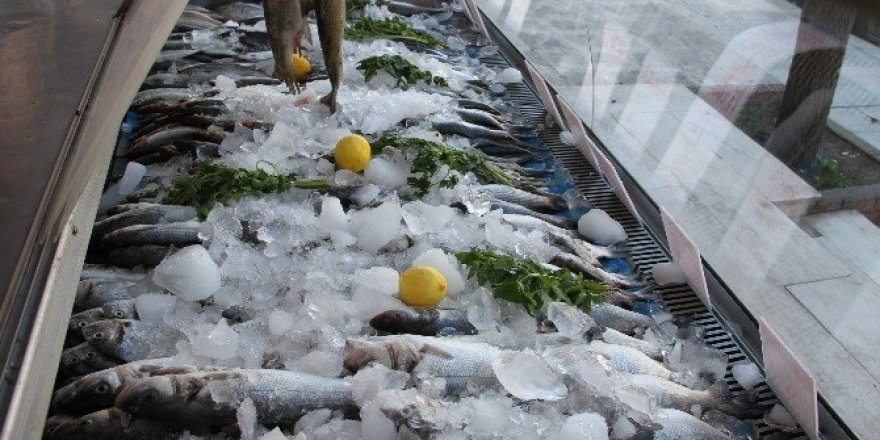 Silopi’de balık satışları esnafı sevindirdi