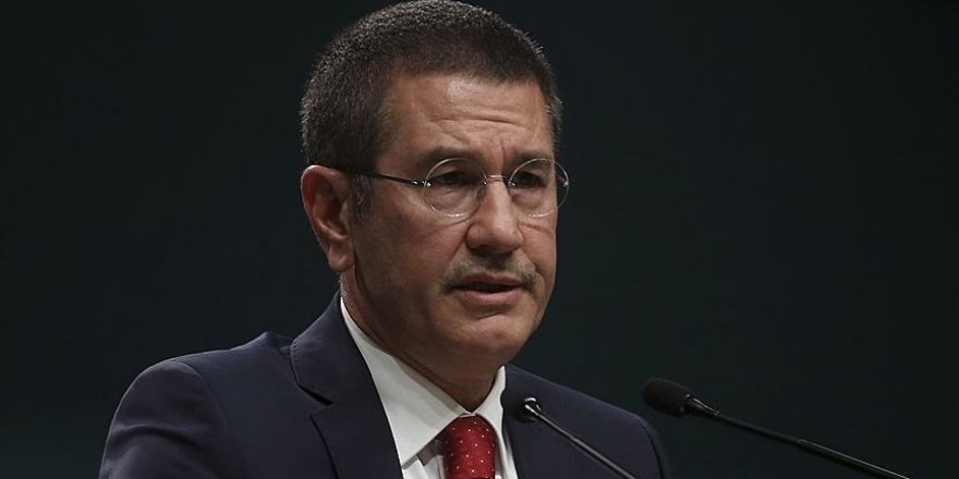 Canikli: Çoğunlukla örgütün talimatı çerçevesinde müracaatlar yapılıyor