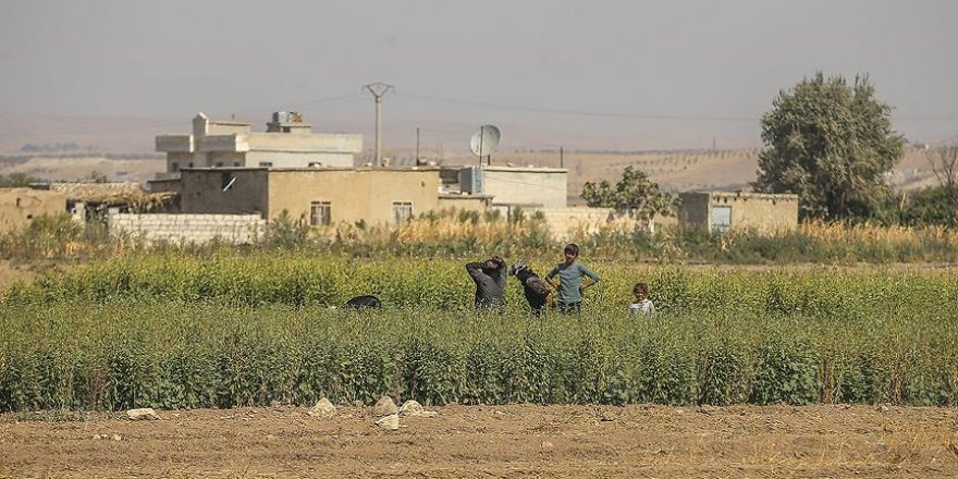 Cerabluslu çiftçilerde 'ekim' heyecanı