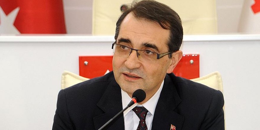 'Türk şirketlerini enerjinin tüm alanlarında görmeye başlayacaksınız'