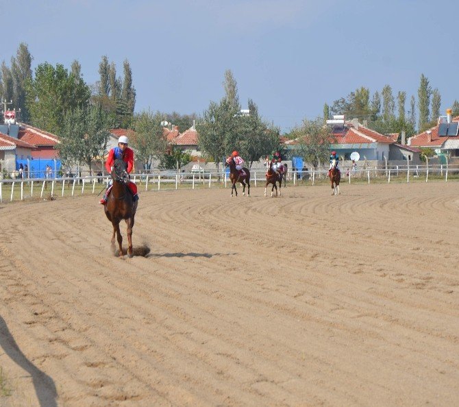 Mahmudiye’nin safkanları hipodroma çıktı