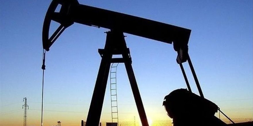 'Suudi Arabistan Mısır'a petrol tedarikini durdurdu'