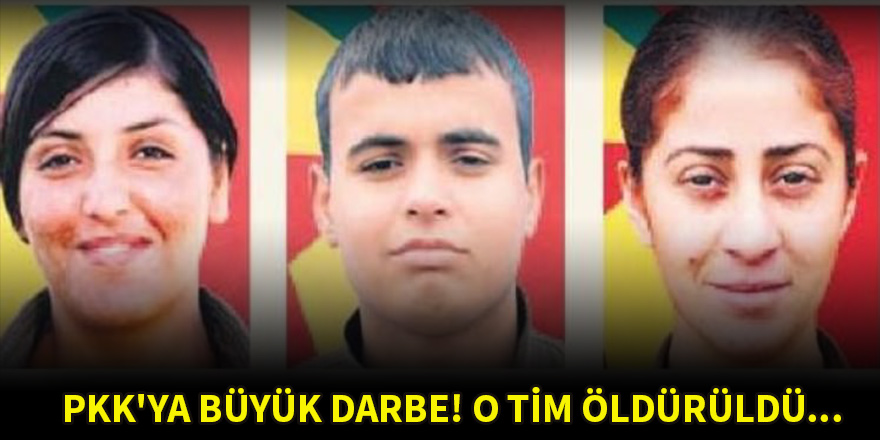 PKK'ya büyük darbe! O tim öldürüldü...