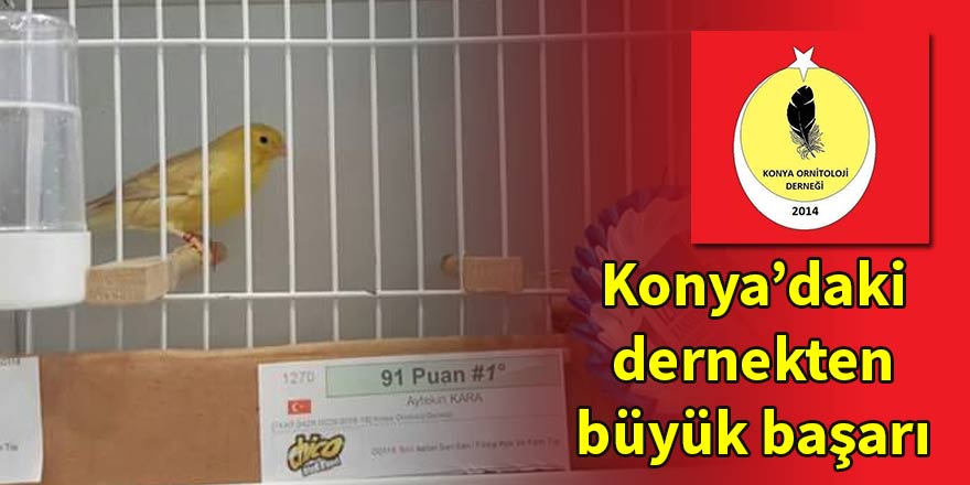 Konya Ornitoloji Derneği'nden İzmir'de büyük başarı