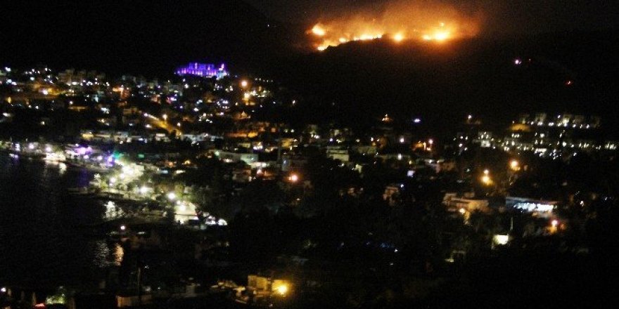 Bodrum’da 5 hektarlık alan kül oldu