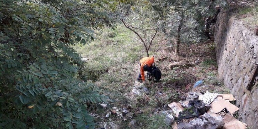 113 bin nüfuslu ilçeyi 229 personel temizliyor