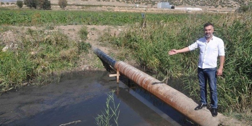 Alabalık tesisinde yaklaşık 1,5 milyon balık telef oldu