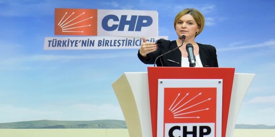 CHP'li Böke'den Bahçeli'ye çok çirkin ifadeler! "Saray'ın lastiği"